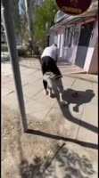17513684422010.mp4
