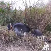 устал очень.mp4