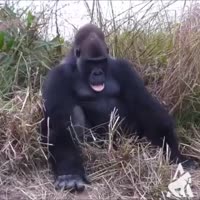устал очень.mp4