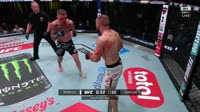 .mp4
