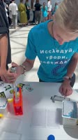 клетка-киллер.mp4