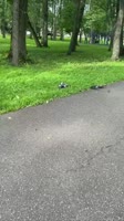 4e79aecd19.mp4