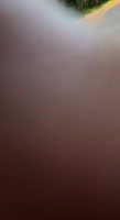 3251f44603.mp4