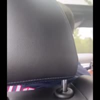 конченная дрянь.mp4