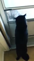 Так разозлился, что забыл дышать.mp4