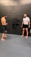 1755503602957.mp4