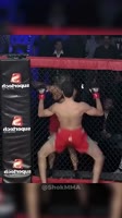 output21.mp4
