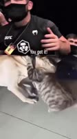 videoplayback.mp4