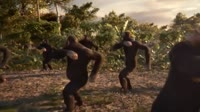 17538140055140.mp4
