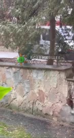 Львовские школьники наблюдают за своим будущем как их будут вязать ТЦК.mp4