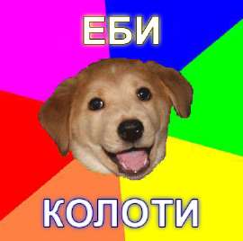 1232017566715.jpg