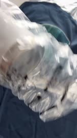 Video by None [DKnds4ah2hl].mp4