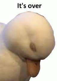 175032209864163684.jpg