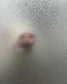 1736018754683.jpg