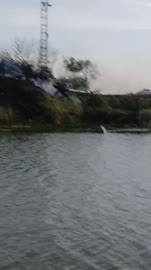 Base Camp Zero - This is a video of Masseys taken by boat this morning by the Raptor Roost. @RaptorRoostTX [1935681152158699520].mp4