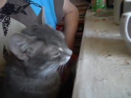 хрючево.mp4