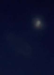 IMG3697.jpeg