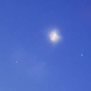 IMG3695.jpeg
