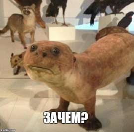 зачемм.jpg