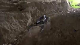 6tIceAX5P6vQ4ee.mp4