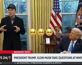 .mp4