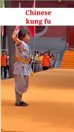 Chinese kung fu #shorts.mp4