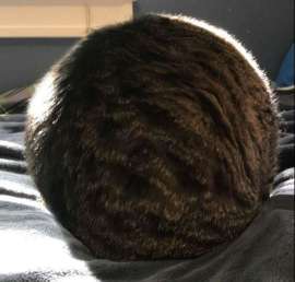 1000031277.jpg