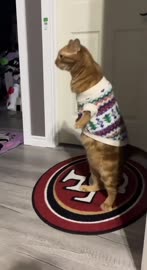1000031333.mp4