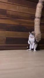 1000031335.mp4