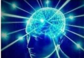 175598835468534005.jpeg