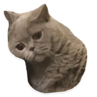 Стикер