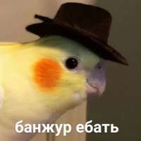 15959382087250.jpg