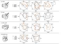Figure-D2-Overall-directivy-for-the-strings-a-violin-b-viol[...].png