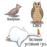 12037459.jpg