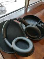 p2ykin54x2331.jpg