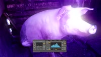 16132882061933.mp4