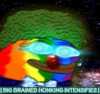 1550621412717.jpg