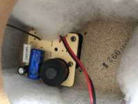 522C7288-799C-447B-8987-17F75AD4AC34.jpeg
