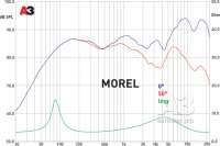 morel.jpg