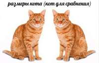 17496319032730.jpg