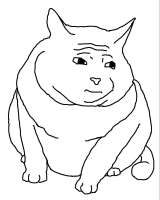 c91c80ff35443c85fb465e502a49dab7.jpg