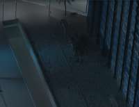 17561347962341.png