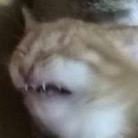 14860171252730.jpg