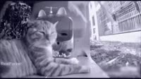 0909.webm