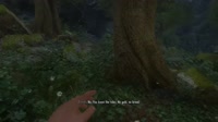 The Elder Scrolls V  Skyrim Special Edition 2025.04.28 - 23.12.20.02.webm