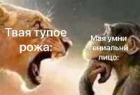 17285789891010.png