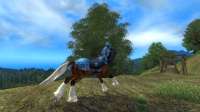 Elder Scrolls IV  Oblivion Screenshot 2025.08.01 - 16.44.06.41.png
