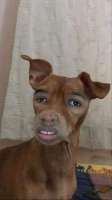 IMG7852.jpeg