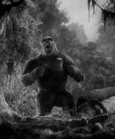 68a2b9752105236b8542eb1f09f834e4.gif