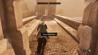 horse.mp4